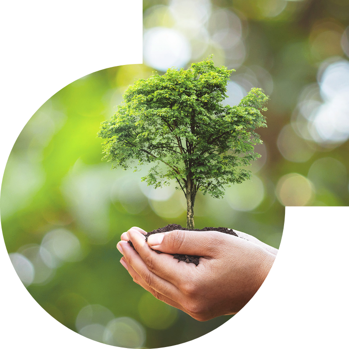 關懷人類、文化、環境與社會